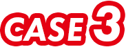 case3