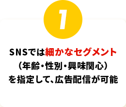 SNSでは細かなセグメント
		  （年齢・性別・興味関心）
		  を指定して、広告配信が可能