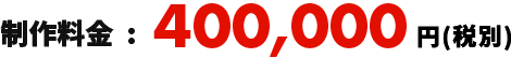 制作料金:400,000円(税別)