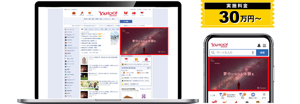 実施料金30万円~