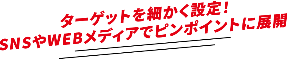 ターゲットを細かく設定！SNSやWEBメディアでピンポイントに展開