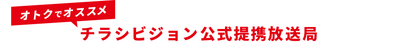 テレビビジョン公式提携放送局